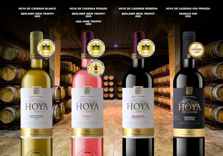 Hoya de Cadenas recibe diferentes premios en certámenes internacionales