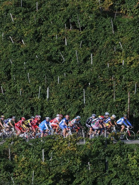 Más de 2000 copas de Prosecco se levantarán mañana al cielo en la Prosecco Cycling 1