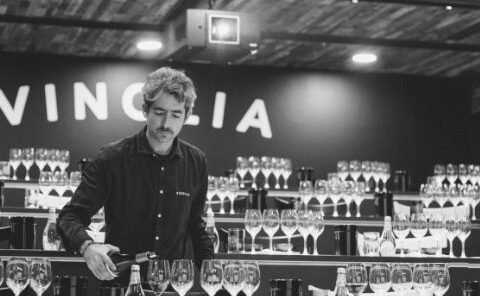 Vinolia, la mejor forma de aprender sobre los vinos de Chile 1