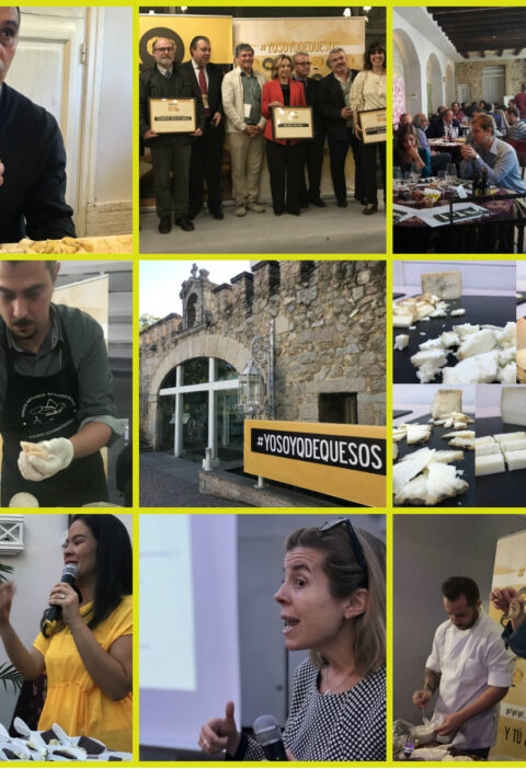 Madrid capital del queso con la celebración de la IIª Jornada Q de Quesos 5