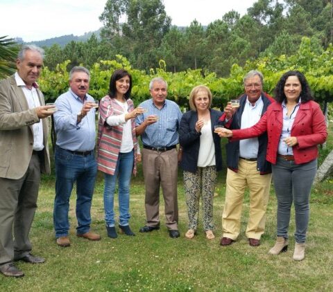 Ribeiras do Morrazo consigue el reconocimiento como IGP de vinos a nivel europeo 1