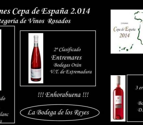 Resultados del certamen 'Cepa de España 2014' de Bodega de los Reyes 6