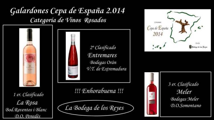 Resultados del certamen 'Cepa de España 2014' de Bodega de los Reyes 6